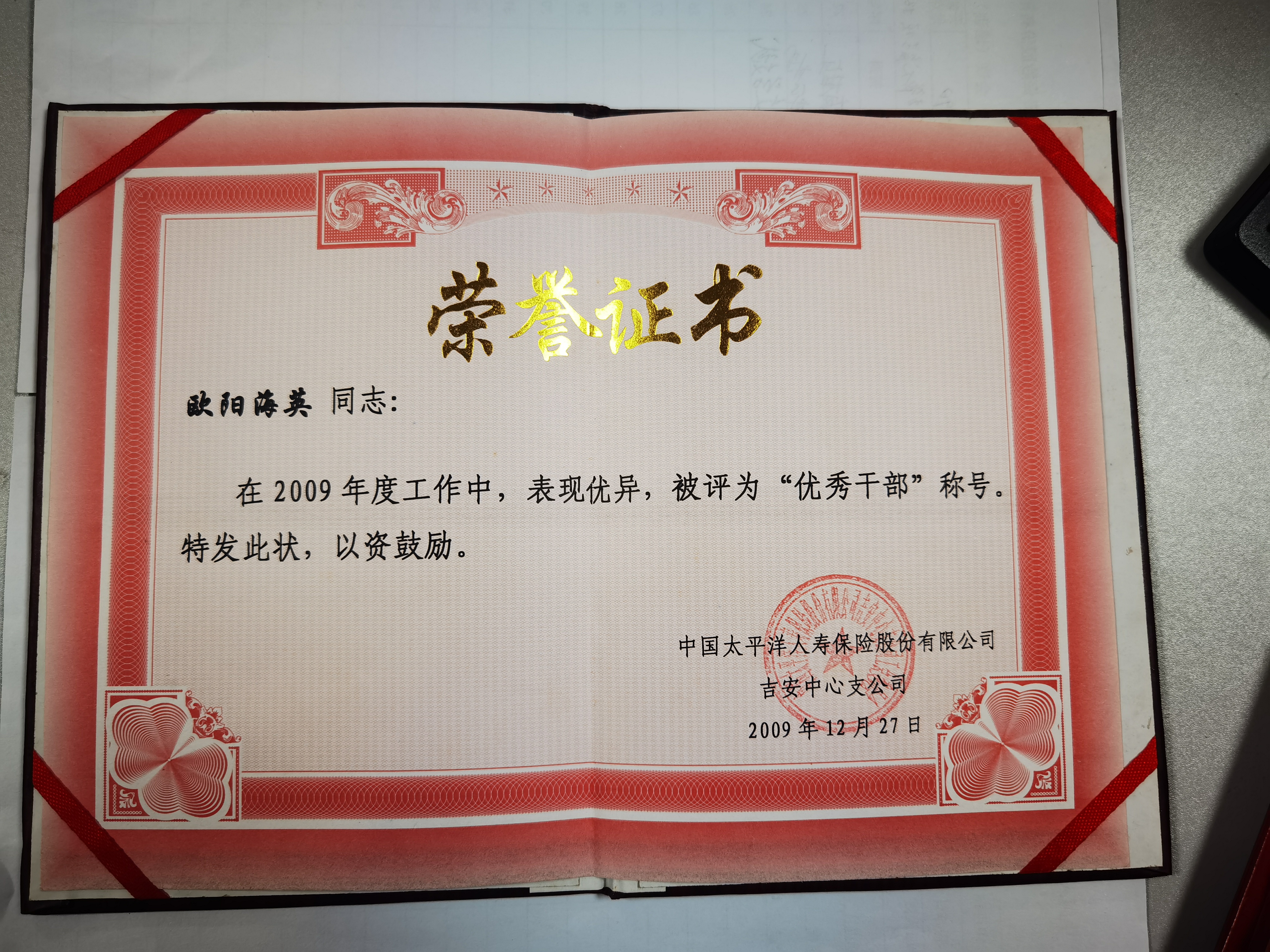 太平洋保险优秀干部（2009年）