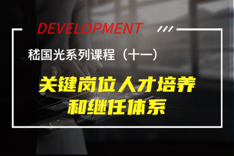 关键岗位人才培养和继任体系
