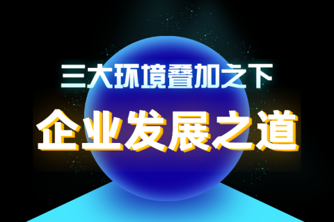 三大环境叠加之下，企业发展之道