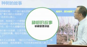 种树的故事